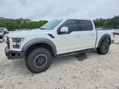 1FTFW1RG5KFC19096 2019 FORD F-150