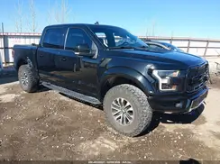 1FTFW1RG5LFB33515 2020 FORD F-150