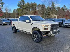 1FTFW1RG5LFB33787 2020 FORD F-150