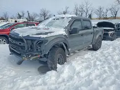 1FTFW1RG5LFC66985 2020 FORD F-150