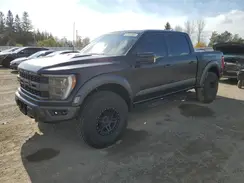 1FTFW1RG5NFA87297 2022 FORD F-150