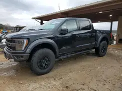 1FTFW1RG5PFB17496 2023 FORD F-150