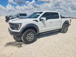 1FTFW1RG5PFB23900 2023 FORD F-150