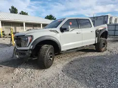 1FTFW1RG5PFC79743 2023 FORD F-150