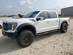 1FTFW1RG5RFA41314 2024 FORD F-150