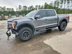 1FTFW1RG5RFB07683 2024 FORD F-150