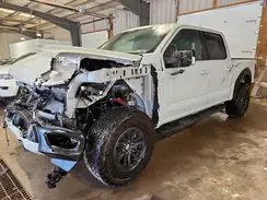 1FTFW1RG5RFB09207 2024 FORD F-150
