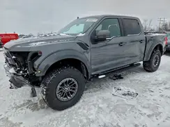 1FTFW1RG6LFB64739 2020 FORD F-150