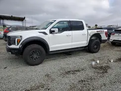 1FTFW1RG6RFA18561 2024 FORD F-150