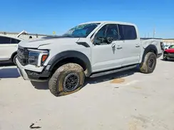 1FTFW1RG6RFB04873 2024 FORD F-150
