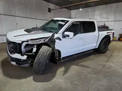 1FTFW1RG6RFB69366 2024 FORD F-150