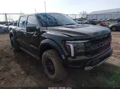 1FTFW1RG6RFC16976 2024 FORD F-150