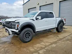 1FTFW1RG6RFC17853 2024 FORD F-150