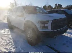 1FTFW1RG7HFB29389 2017 FORD F-150