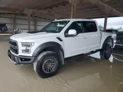 1FTFW1RG7KFB24930 2019 FORD F-150