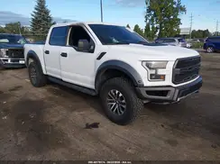 1FTFW1RG7KFB79216 2019 FORD F-150