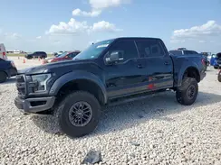 1FTFW1RG7KFB88286 2019 FORD F-150