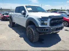 1FTFW1RG7KFC45442 2019 FORD F-150