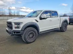 1FTFW1RG7KFD17384 2019 FORD F-150
