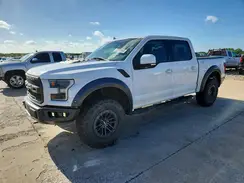 1FTFW1RG7LFB33709 2020 FORD F-150