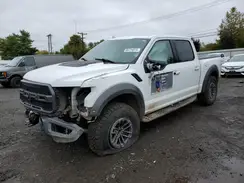 1FTFW1RG7LFC62159 2020 FORD F-150