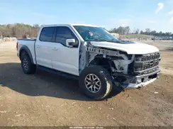 1FTFW1RG7PFB46174 2023 FORD F-150