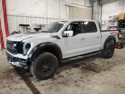 1FTFW1RG7RFA33800 2024 FORD F-150