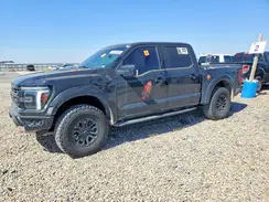 1FTFW1RG7RFA55893 2024 FORD F-150