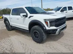 1FTFW1RG7RFA66246 2024 FORD F-150