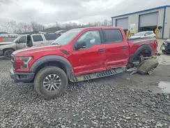 1FTFW1RG8KFB39047 2019 FORD F-150