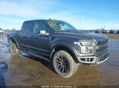 1FTFW1RG8KFB86529 2019 FORD F-150