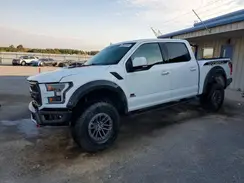 1FTFW1RG8KFC29346 2019 FORD F-150