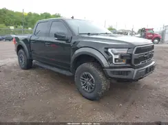 1FTFW1RG8KFD42729 2019 FORD F-150