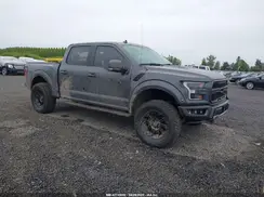 1FTFW1RG8LFA88313 2020 FORD F-150