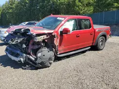 1FTFW1RG8LFC07106 2020 FORD F-150