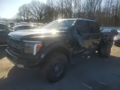 1FTFW1RG8RFA41243 2024 FORD F-150