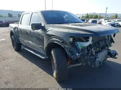 1FTFW1RG8RFA59208 2024 FORD F-150