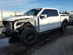 1FTFW1RG8RFB75914 2024 FORD F-150