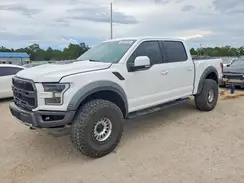 1FTFW1RG9KFB24962 2019 FORD F-150