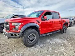 1FTFW1RG9KFB32835 2019 FORD F-150