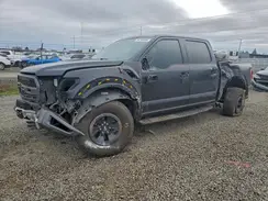 1FTFW1RGXHFA67051 2017 FORD F-150