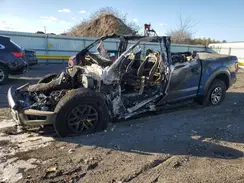 1FTFW1RGXHFC67461 2017 FORD F-150