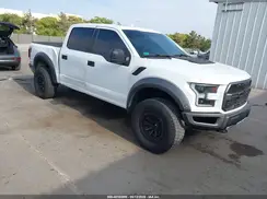 1FTFW1RGXKFA13918 2019 FORD F-150