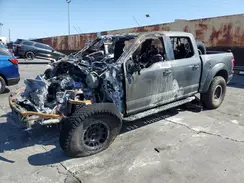 1FTFW1RGXKFB81784 2019 FORD F-150