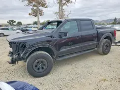 1FTFW1RGXPFB36027 2023 FORD F-150