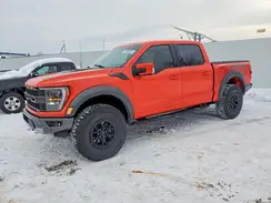 1FTFW1RGXPFC34653 2023 FORD F-150