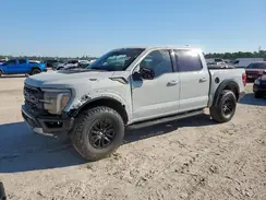 1FTFW1RGXRFB42610 2024 FORD F-150
