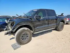 1FTFW1RJ0RFA47629 2024 FORD F-150