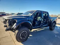 1FTFW1RJ1RFB58951 2024 FORD F-150