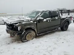 1FTFW1RJ7RFA47966 2024 FORD F-150